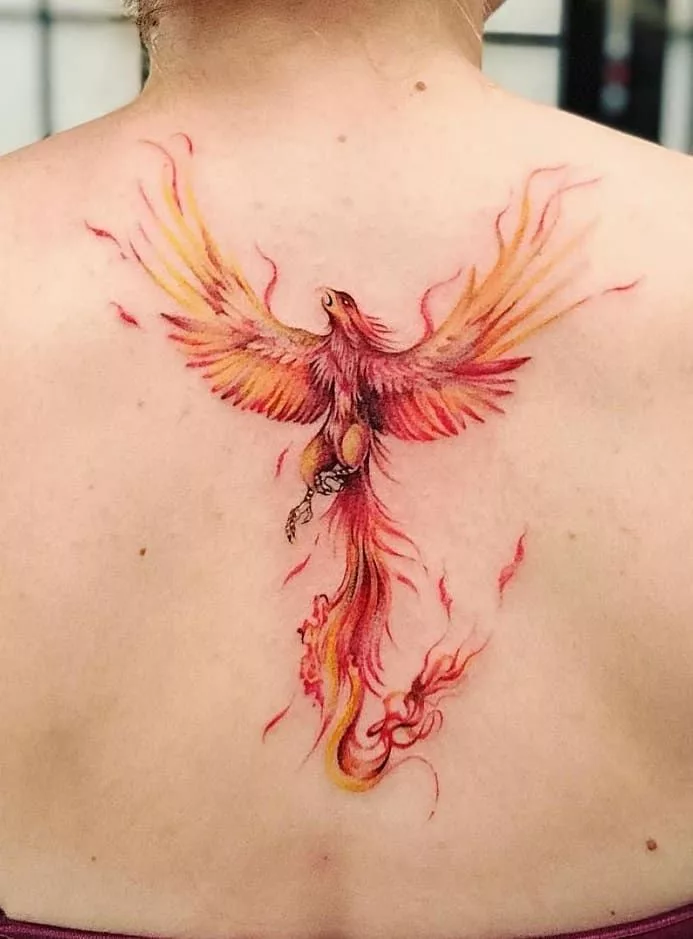 phoenix tattoo 