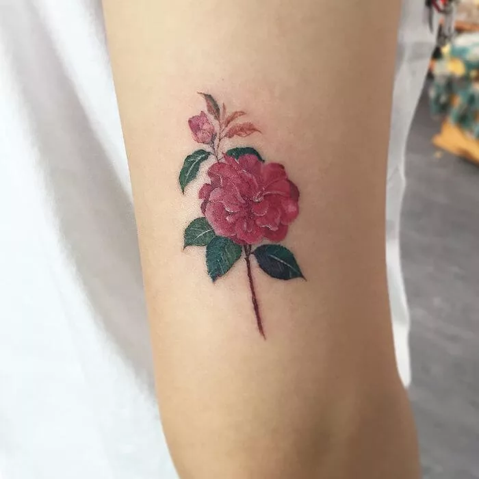 camellia tattoo