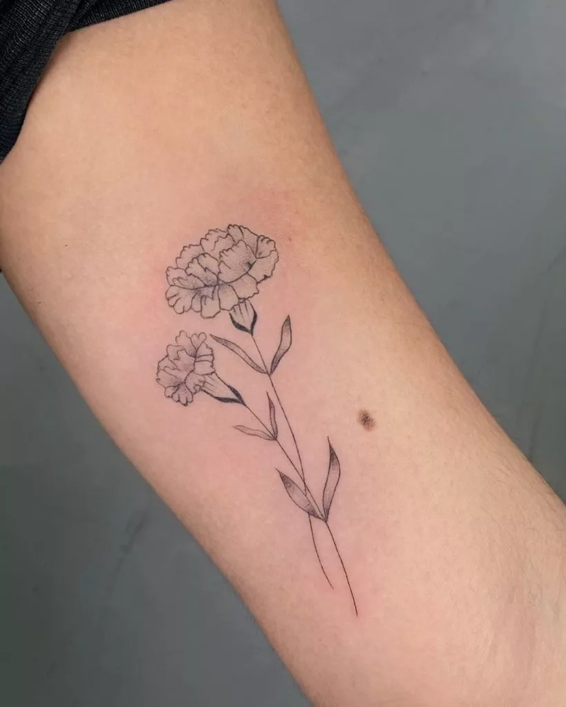 carnation tattoo