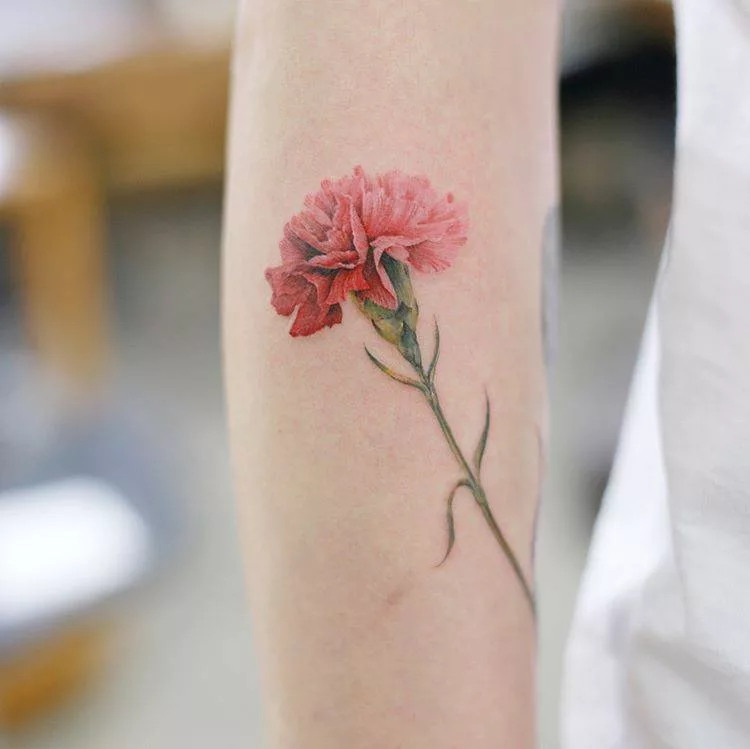 carnation tattoo