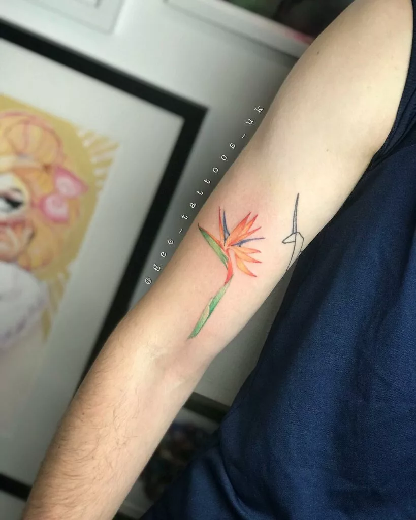 bird of paradise tattoo