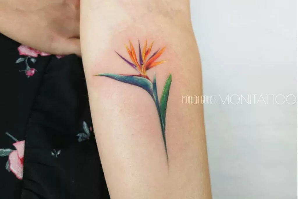 bird of paradise tattoo