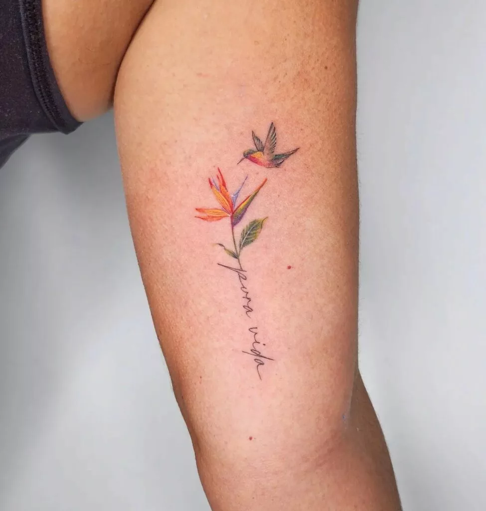 bird of paradise tattoo