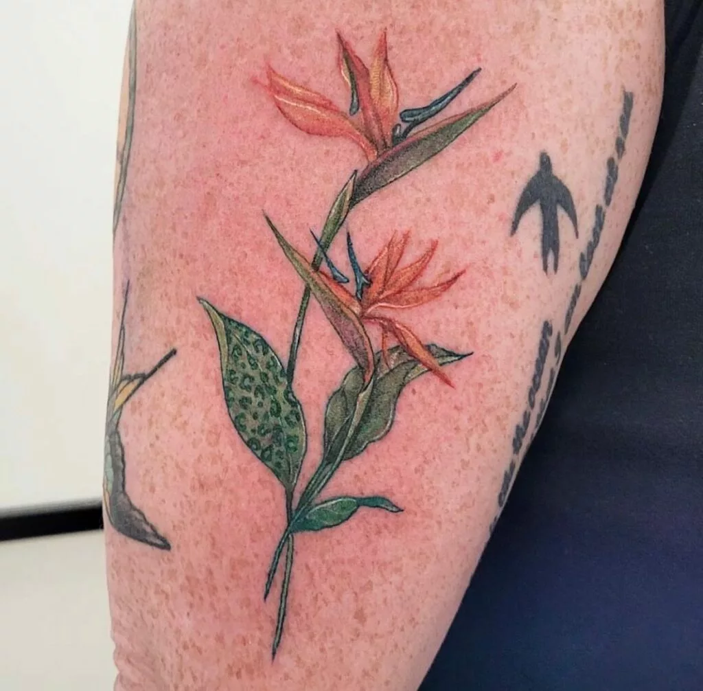 bird of paradise tattoo