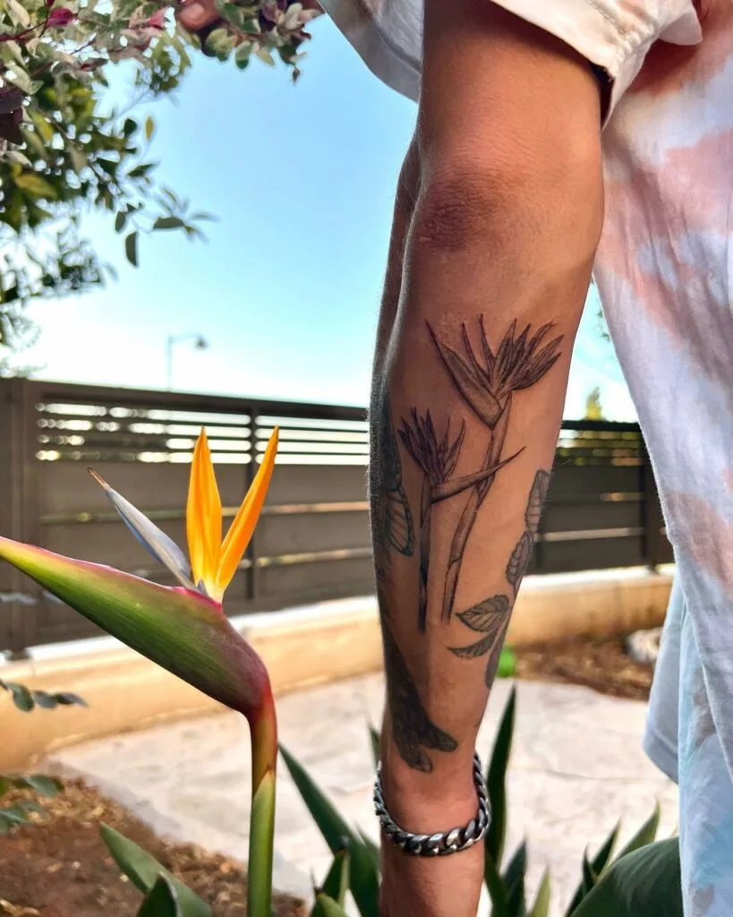 bird of paradise tattoo