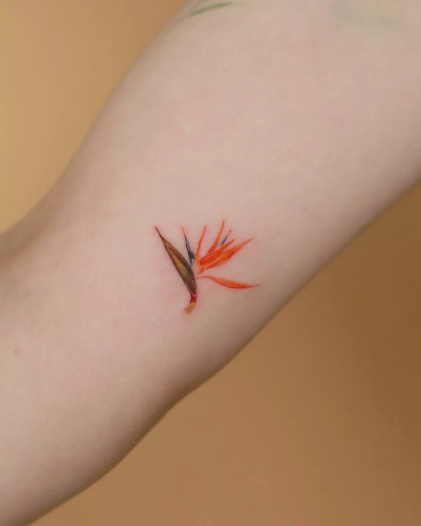 bird of paradise tattoo