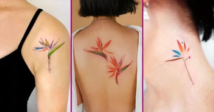 bird of paradise tattoo