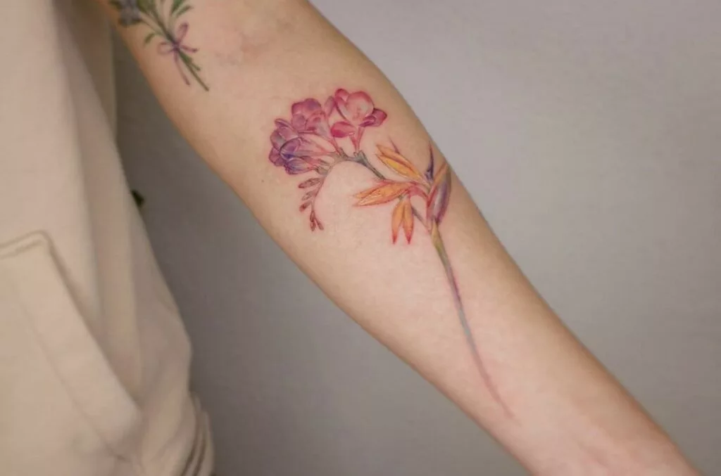 bird of paradise tattoo