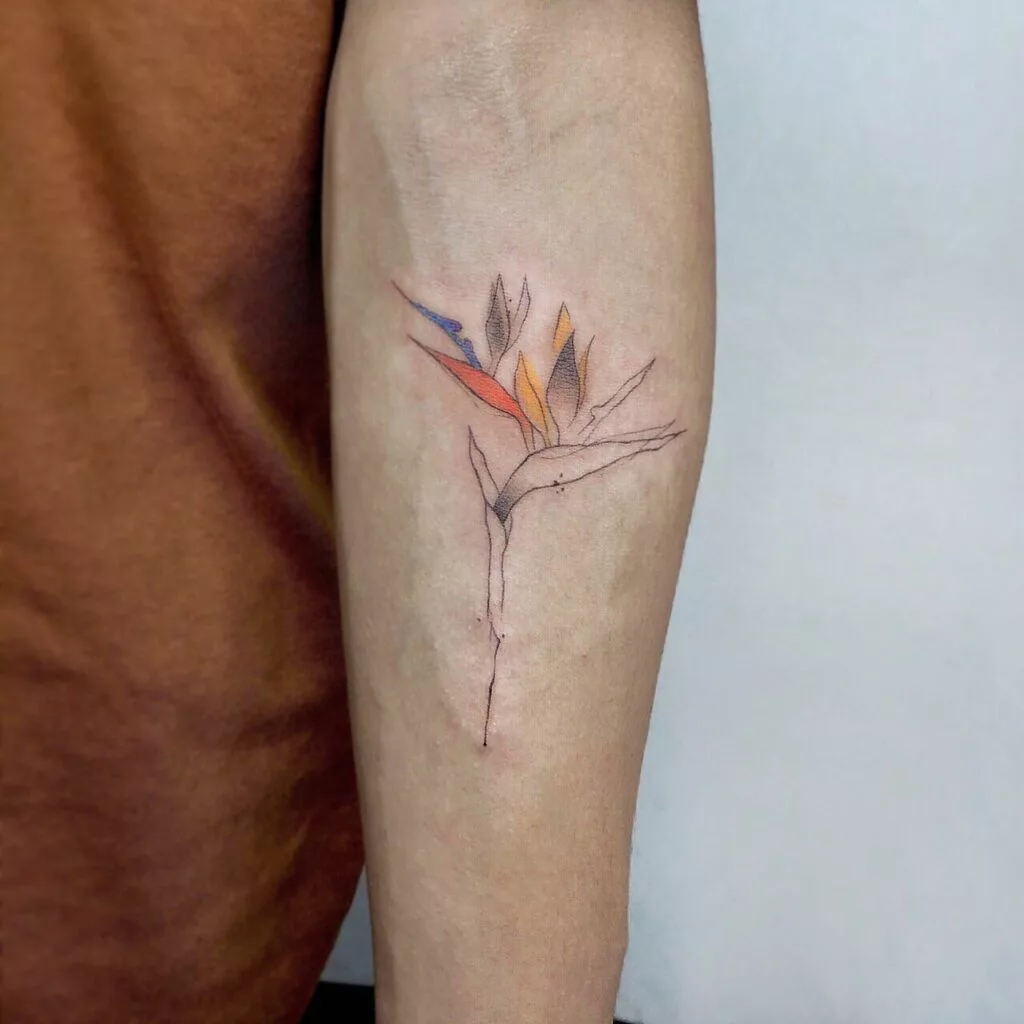 bird of paradise tattoo