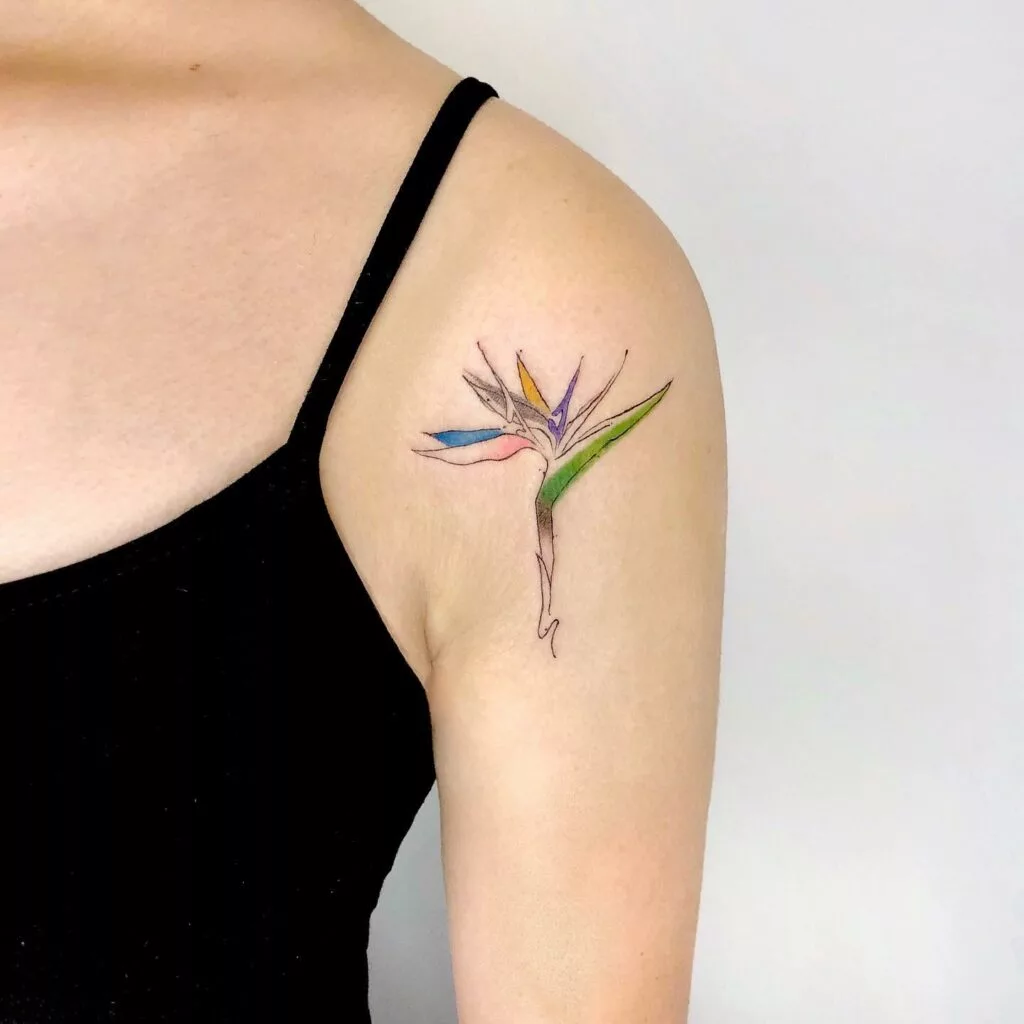 bird of paradise tattoo