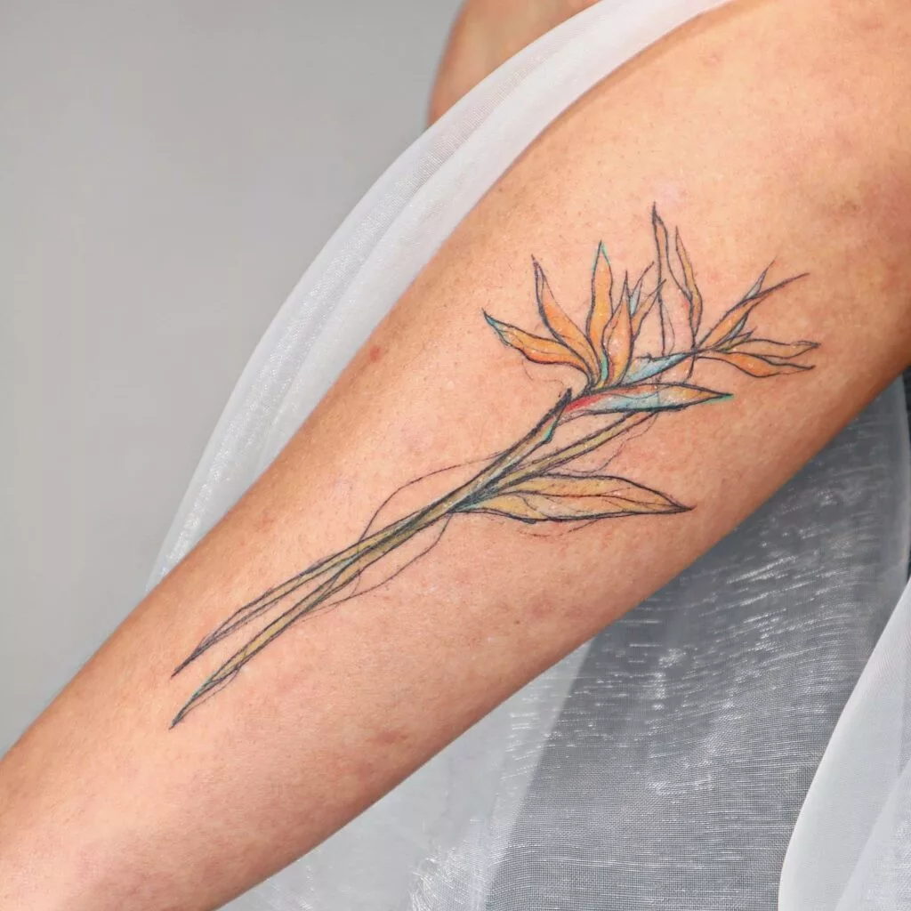 bird of paradise tattoo