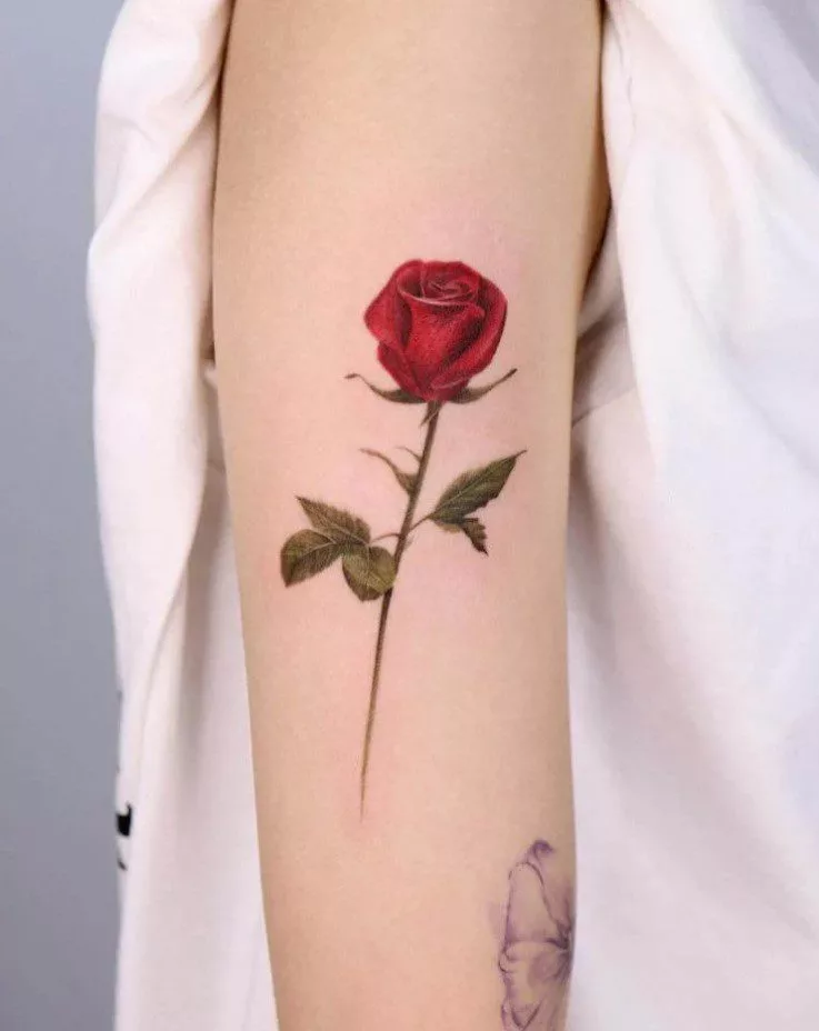 rose tattoo