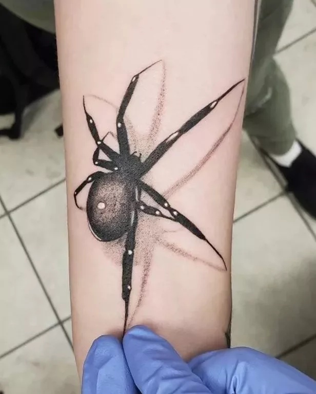 spider tattoo